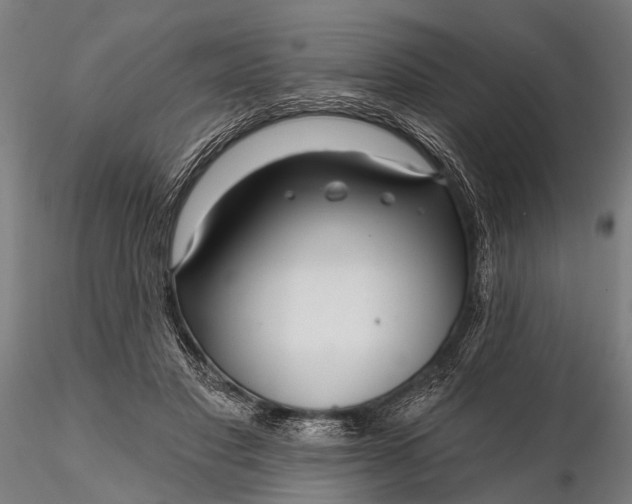 X0000116300501200912141338