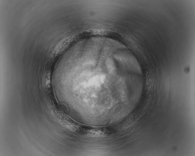 X0000116300502200912141338