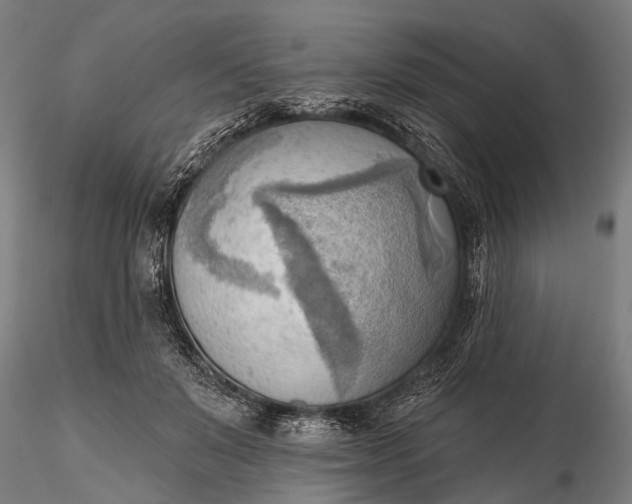 X0000116300503200912141338