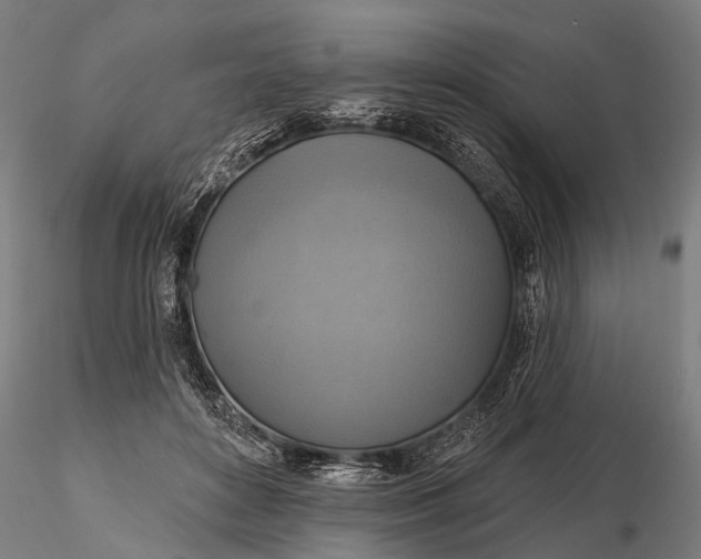 X0000116300504200912141338