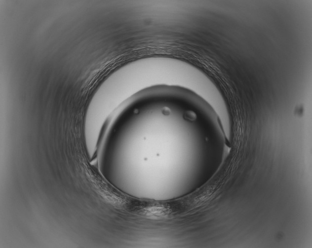 X0000116300505200912141338