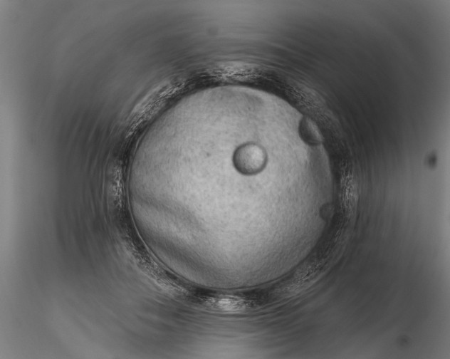 X0000116300506200912141338