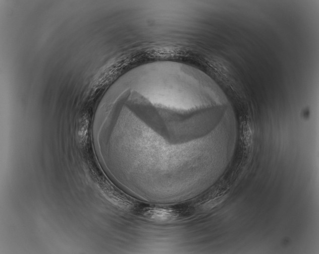 X0000116300507200912141338