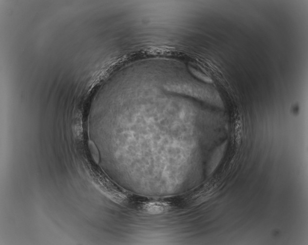 X0000116300508200912141338