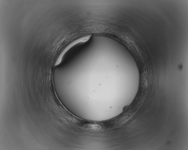 X0000116300509200912141338