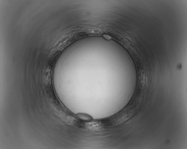 X0000116300511200912141338