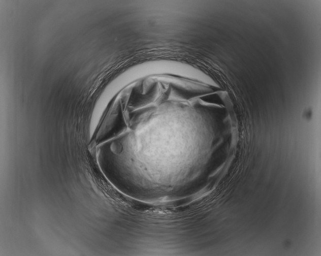 X0000116300512200912141338