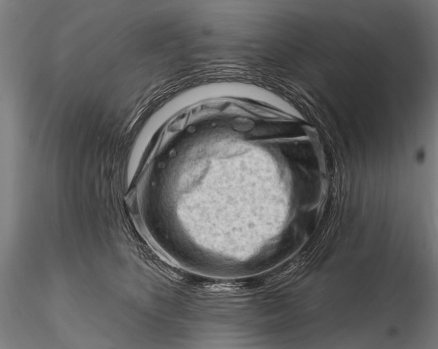 X0000116300516200912141338