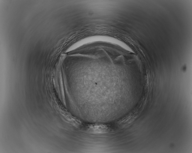 X0000116300517200912141338