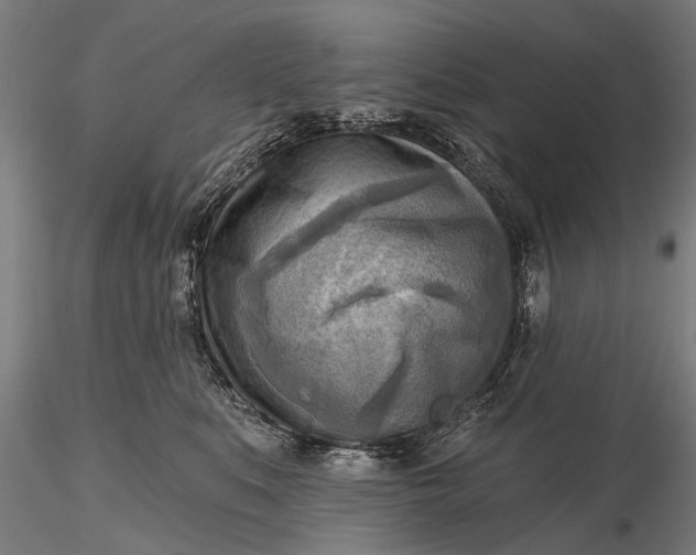 X0000116300519200912141338