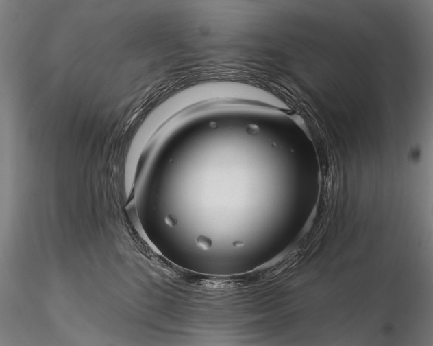 X0000116300520200912141338