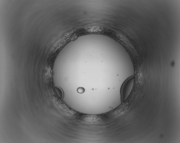 X0000116300521200912141338