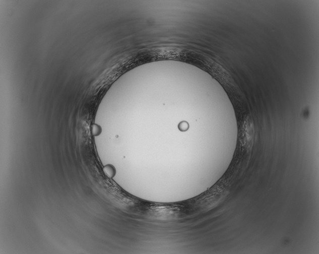 X0000116300522200912141338