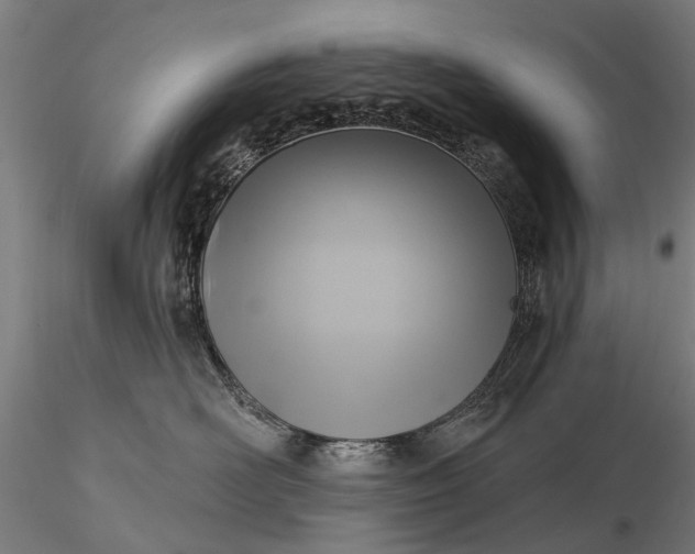 X0000116300526200912141338