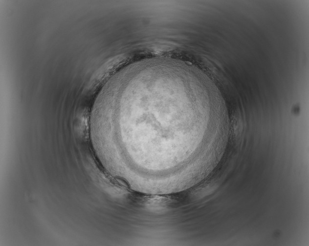 X0000116300527200912141338