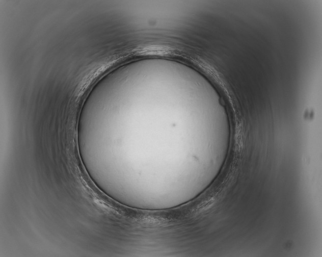 X0000116300529200912141337