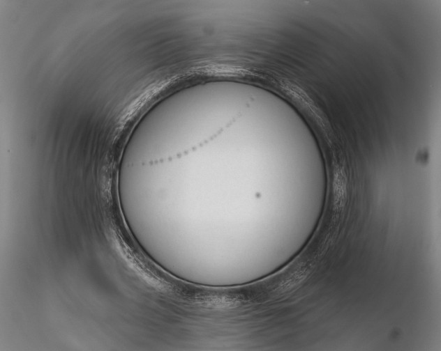 X0000116300533200912141337