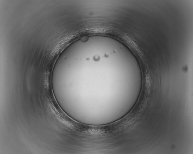 X0000116300537200912141337