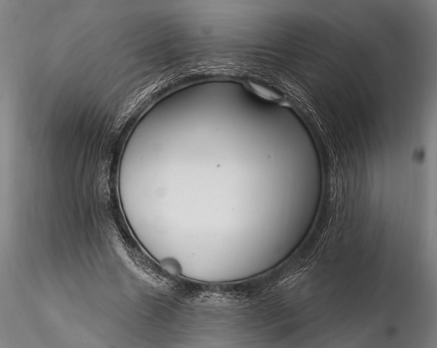 X0000116300538200912141337