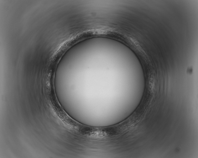 X0000116300543200912141337