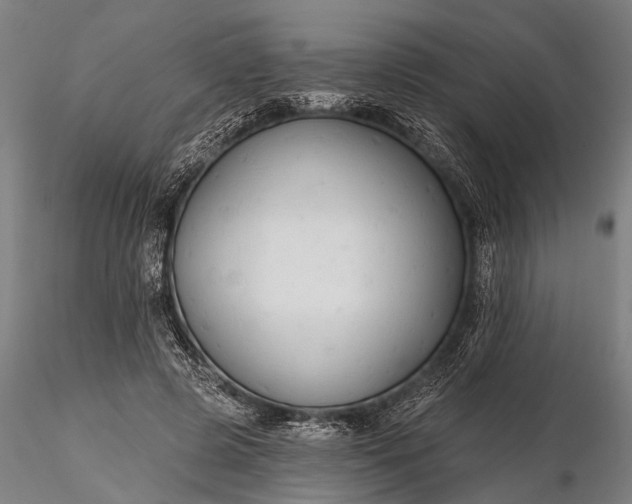 X0000116300545200912141337