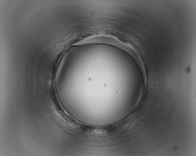 X0000116300546200912141337