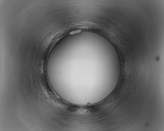 X0000116300547200912141337