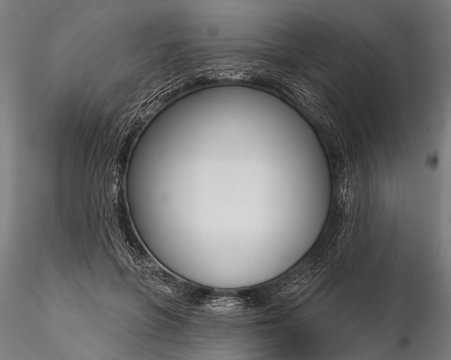 X0000116300551200912141337