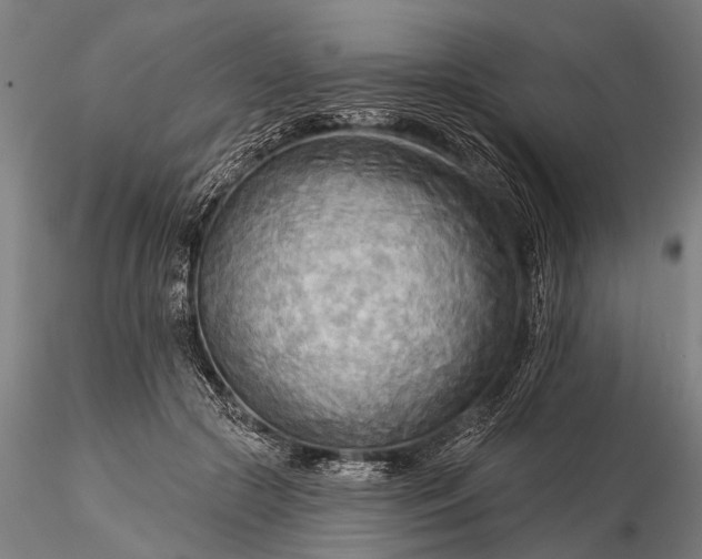 X0000116300553200912141337