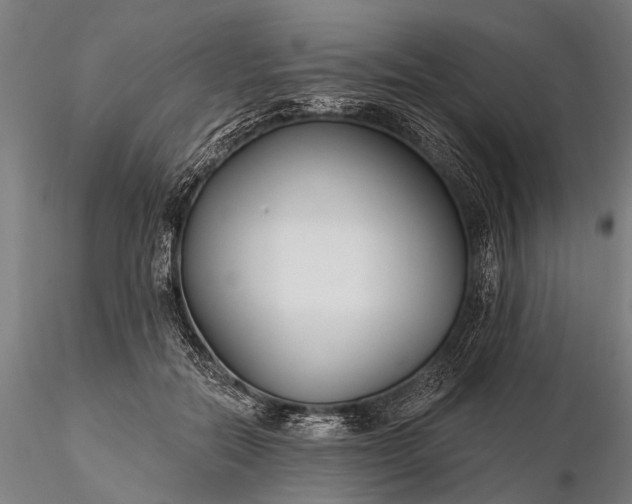 X0000116300554200912141337