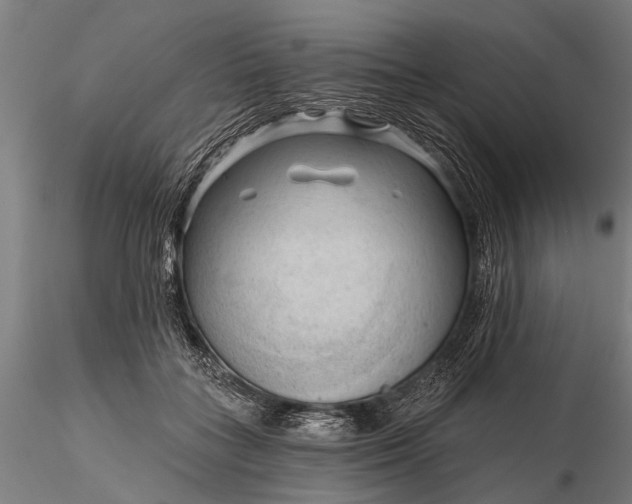 X0000116300555200912141337