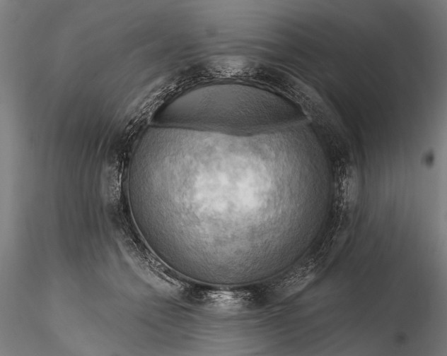 X0000116300558200912141337