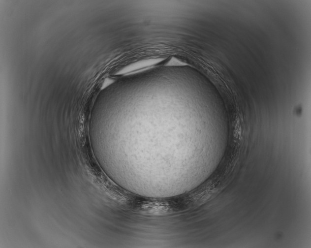 X0000116300559200912141338