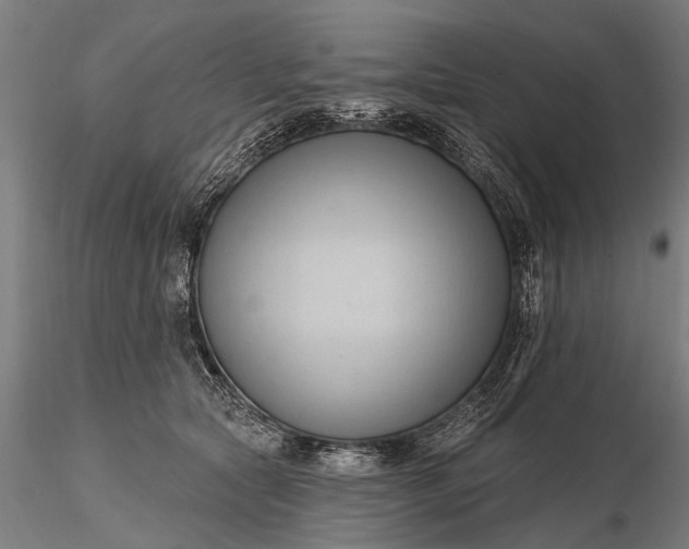 X0000116300561200912141338