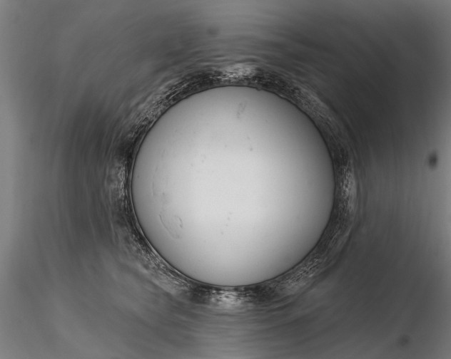 X0000116300565200912141338