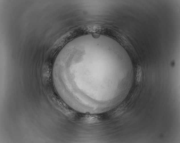 X0000116300569200912141338