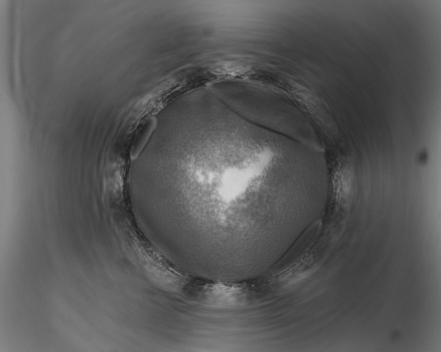 X0000116300570200912141338