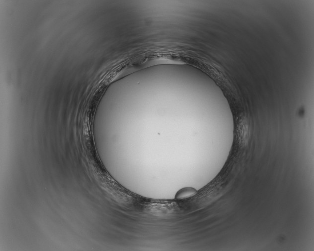 X0000116300571200912141338