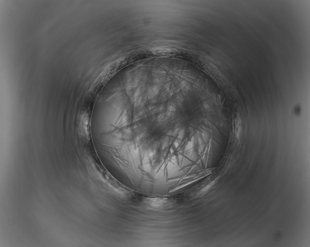 X0000116300575200912141338