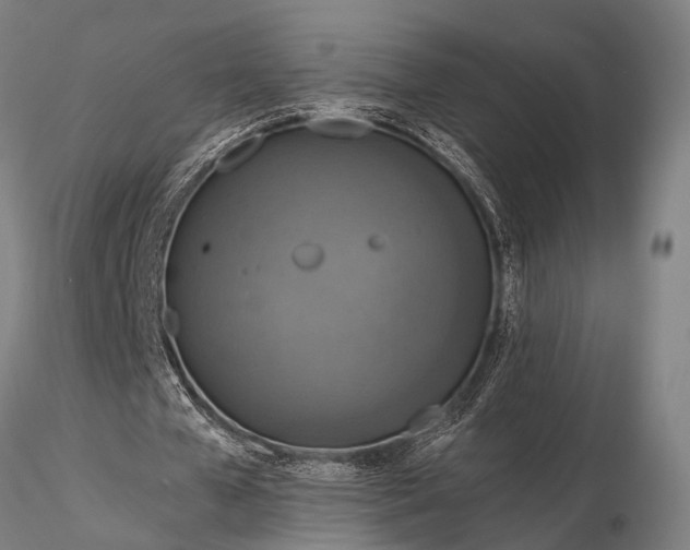 X0000116300577200912141337