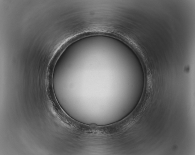 X0000116300580200912141337