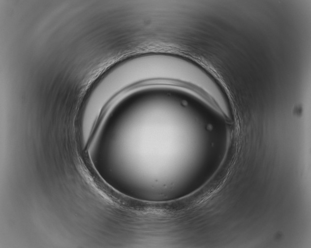 X0000116300581200912141337