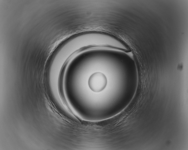 X0000116300583200912141337