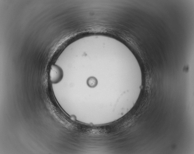 X0000116300584200912141337