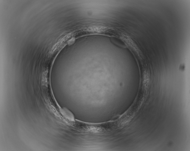 X0000116300585200912141337