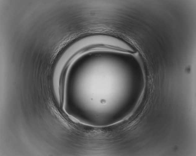 X0000116300589200912141337