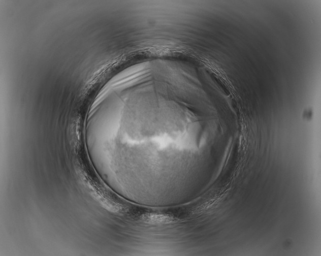 X0000116300590200912141337