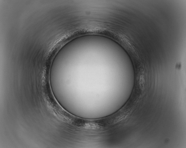 X0000116300591200912141337