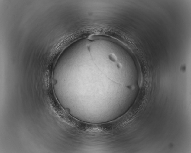 X0000116300594200912141337