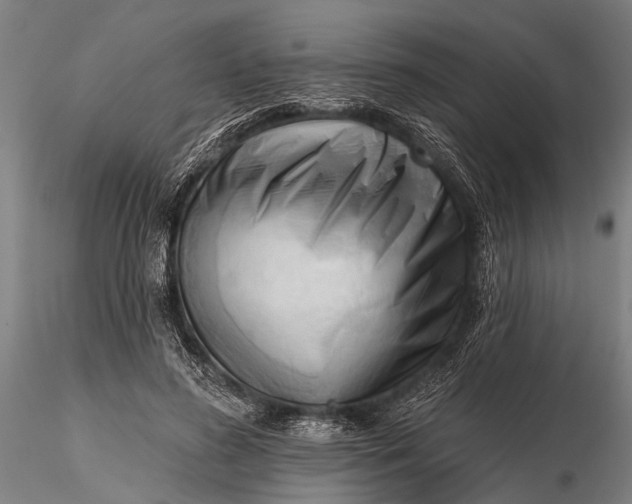 X0000116300596200912141337